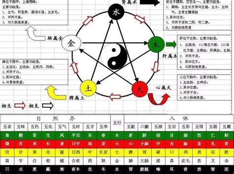 甲木和乙木|「四柱八字」十天干的五行属性和阴阳属性